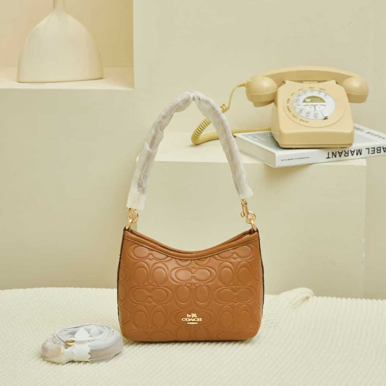 Coach Mini Bag | Compact, Chic & Timeless (Master copy)
