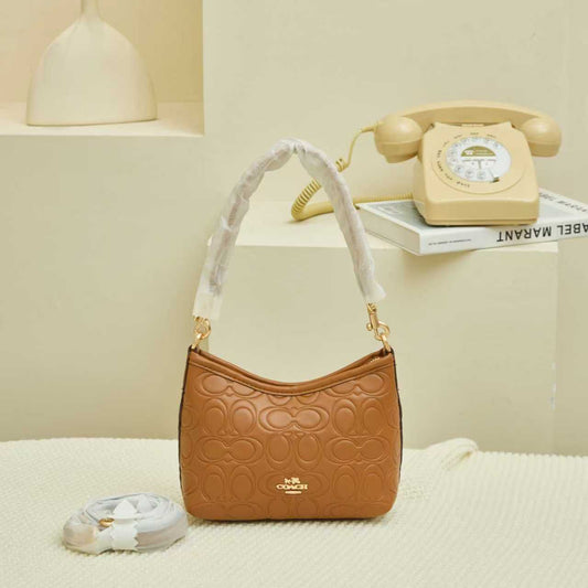 Coach Mini Bag | Compact, Chic & Timeless (Master copy)