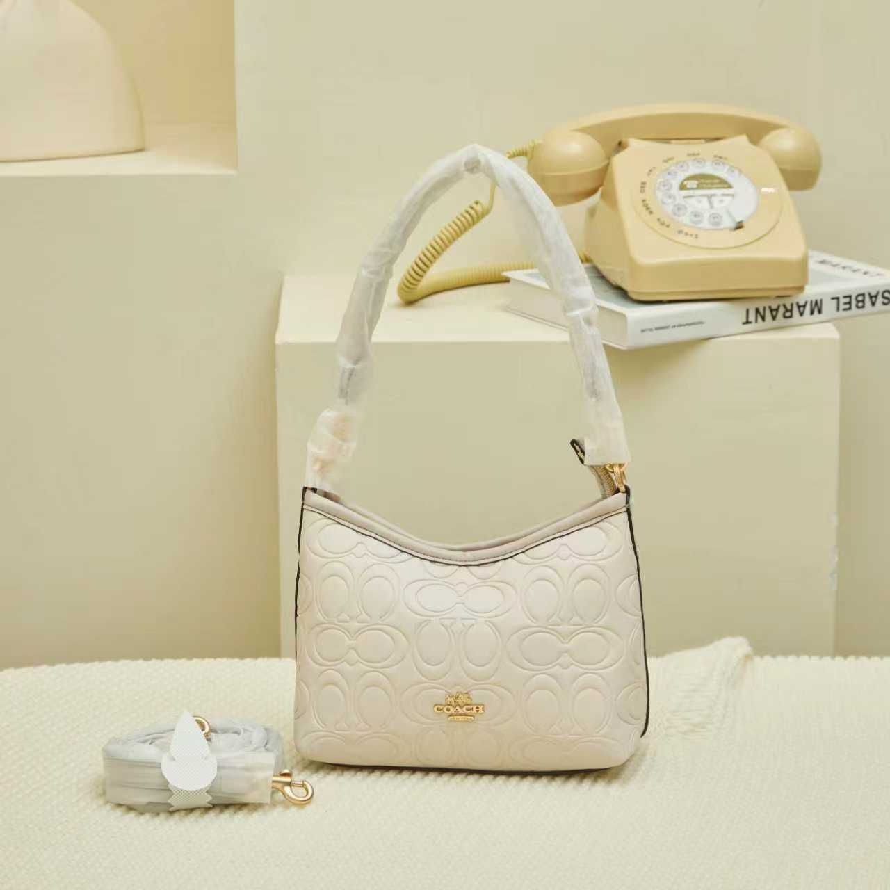 Coach Mini Bag | Compact, Chic & Timeless (Master copy)
