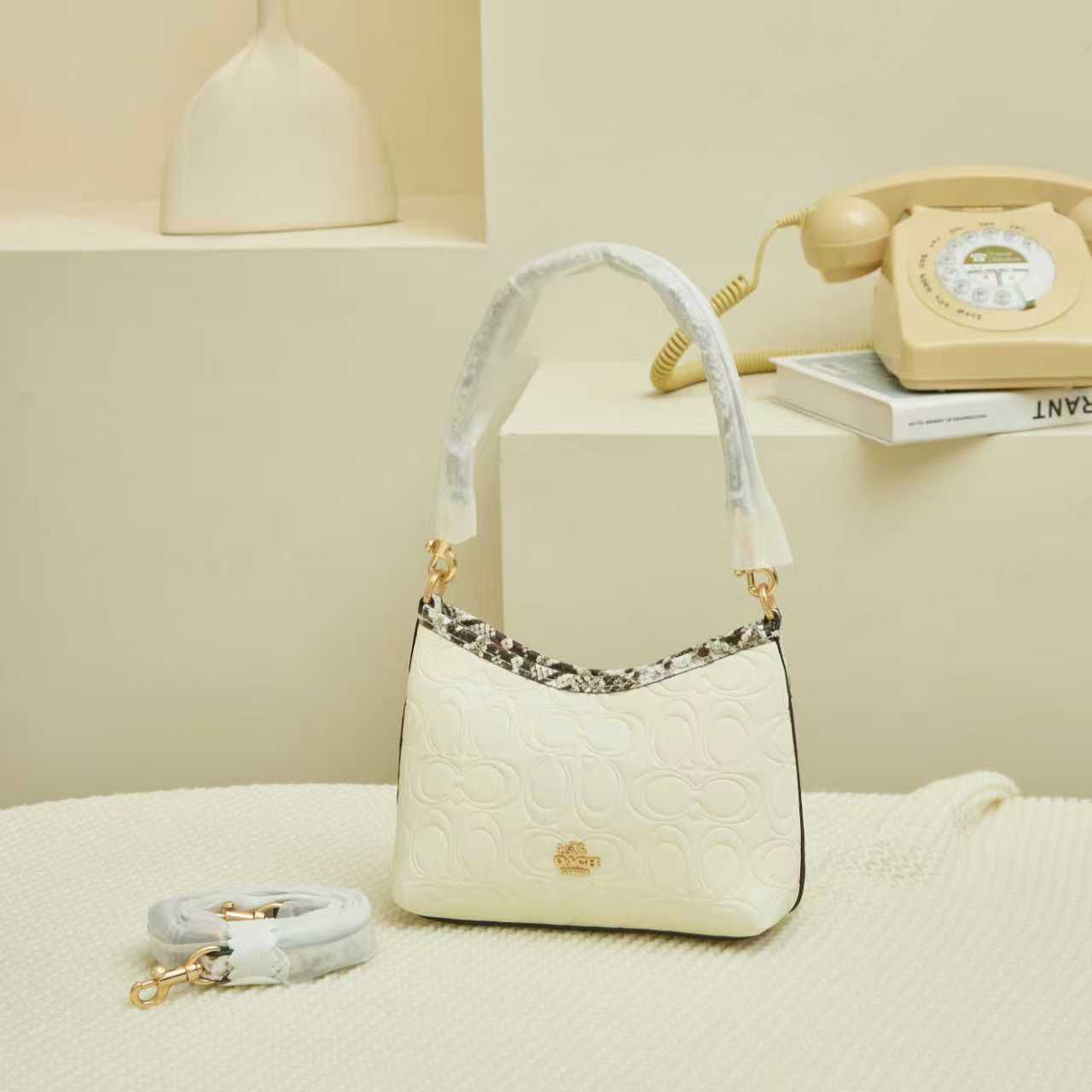 Coach Mini Bag | Compact, Chic & Timeless (Master copy)